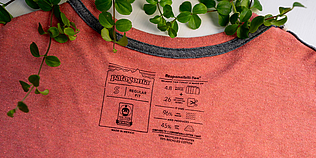 T-Shirtaufdruck von innen mit grünem Zweig darüber