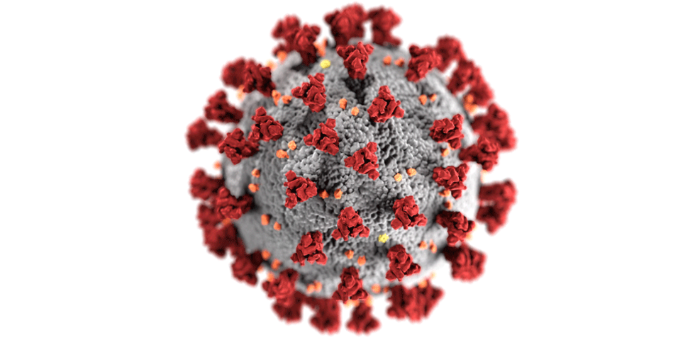 COVID-19 Virus