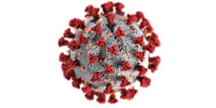COVID-19 Virus