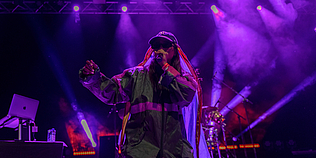 © Dominique Brewing