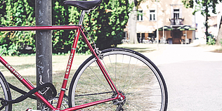 Fahrrad an Baum angelehnt
