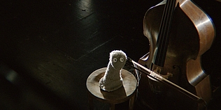 The best Orchestra in the world © Backhaus Halibrand